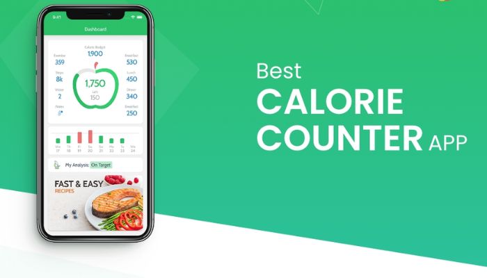 Top 10 Calorie Calculator Apps to Track Your Intake Easily