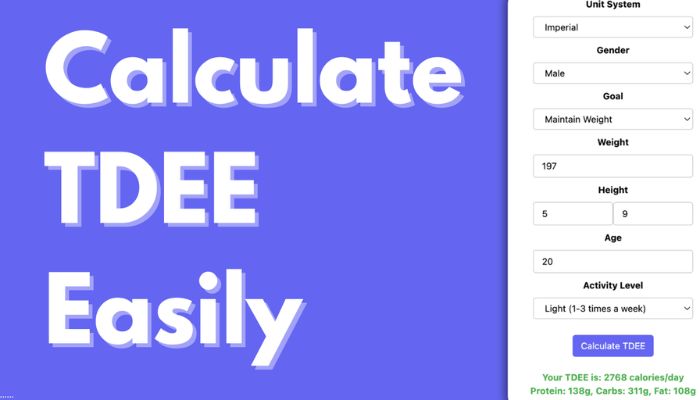 Calculate Your Daily Caloric Needs Latest TDEE Tools for Accuracy